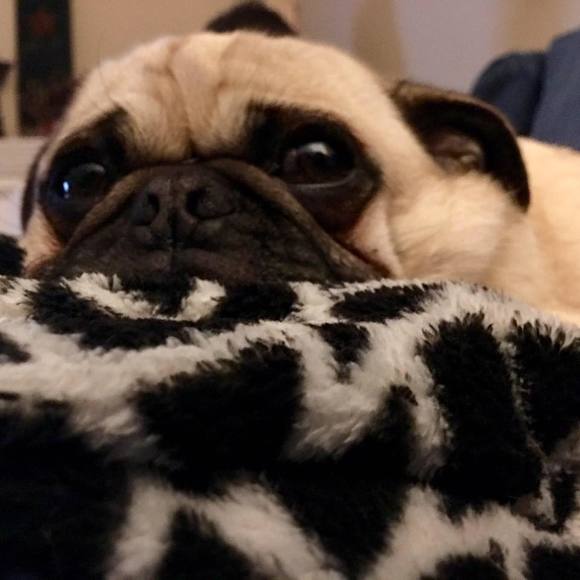 Meet your Posher, Kimberly - Picture 1 of 1